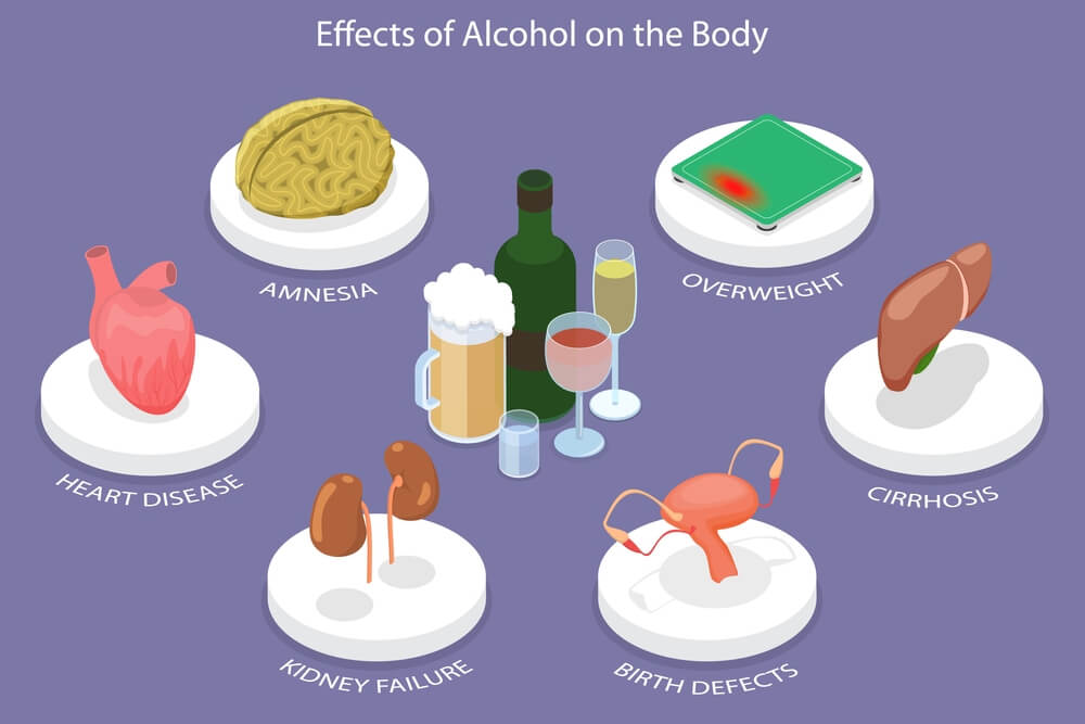 Effects of Alcohol on the Body